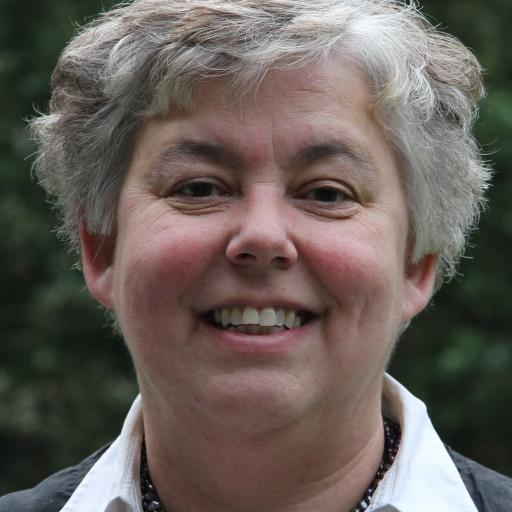 Marianne Sloet van Oldruitenborgh-Oosterbaan avatar