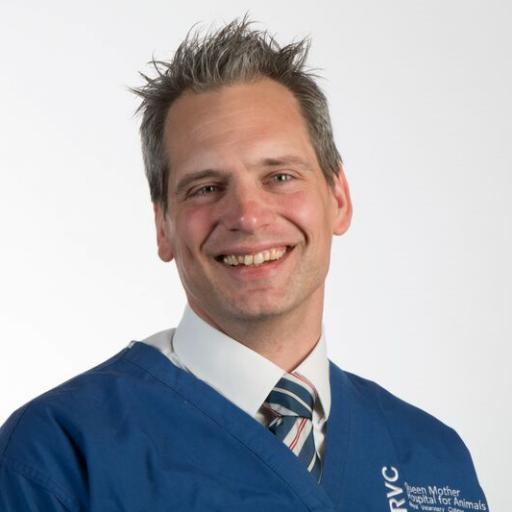 Holger Volk avatar