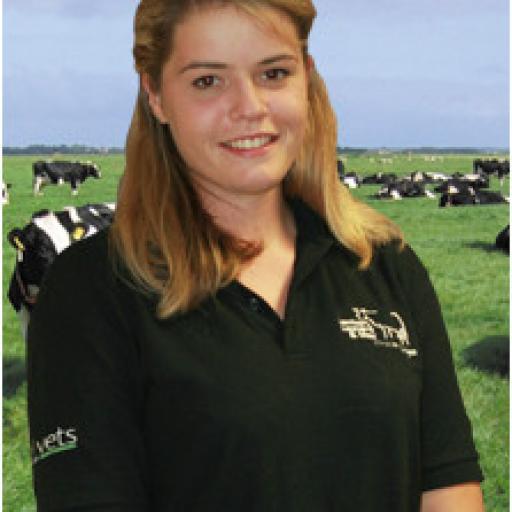 Sarah Hampson avatar