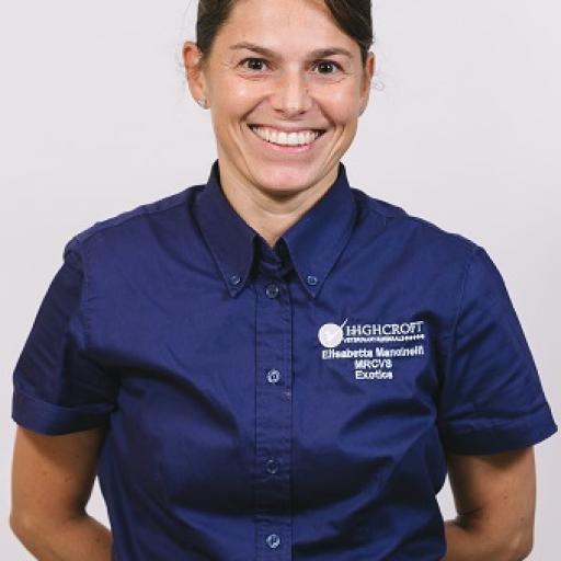 Elisabetta Mancinelli avatar