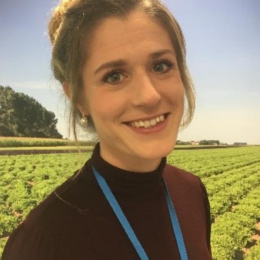 Lauren Dimmack avatar